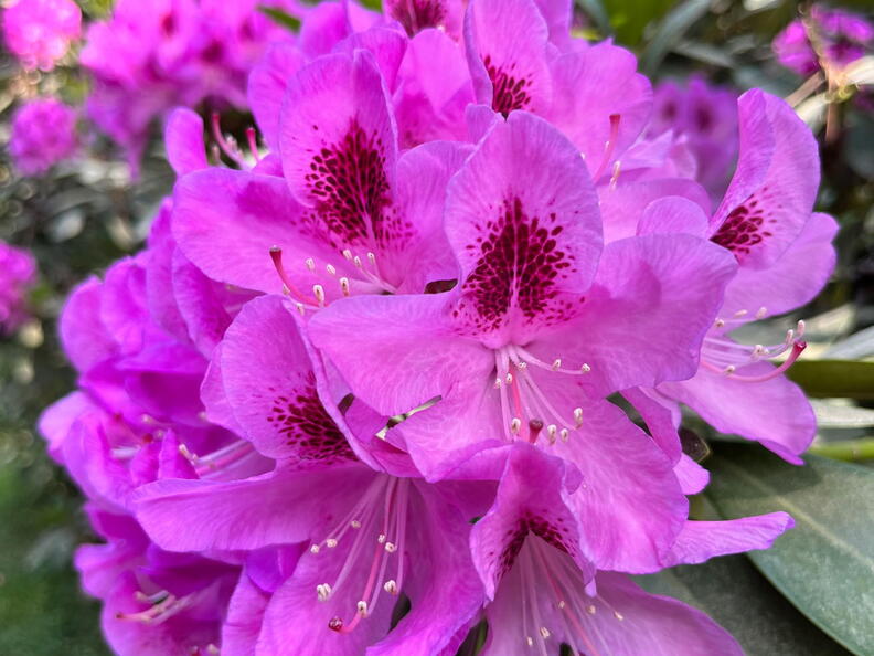 23-06-03 16-39-34 5790